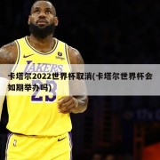 卡塔尔2022世界杯取消(卡塔尔世界杯会如期举办吗)