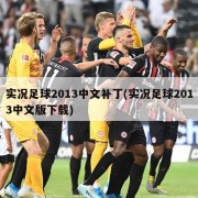 实况足球2013中文补丁(实况足球2013中文版下载)