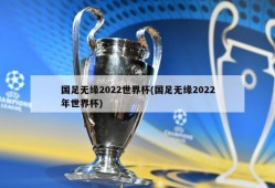 国足无缘2022世界杯(国足无缘2022年世界杯)