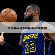 低调看nba(低调看nba篮球直播)