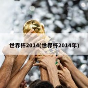 世界杯2014(世界杯2014年)