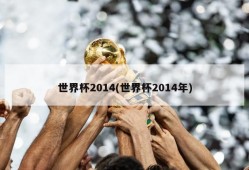 世界杯2014(世界杯2014年)