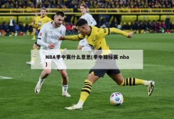 NBA季中赛什么意思(季中锦标赛 nba)