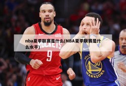 nba夏季联赛是什么(NBA夏季联赛是什么水平)